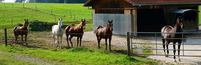 Philosophie Ambrosiushof Allgäu